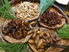 -昆虫窝子·特色云南菜(拓东路总店)