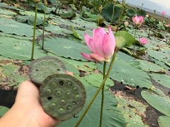 -刘一手火锅(万达广场店)