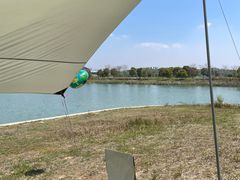 -西京湾花海