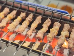 呼伦贝尔羊肉串-很久以前羊肉串(农科路店)