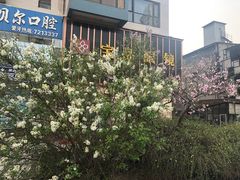 -宝岛眼镜(太原科技街店)