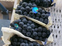 -马陆小张葡萄园农家乐