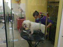 -酷狗靓猫宠物·洗护·美容·寄养(航北路店)