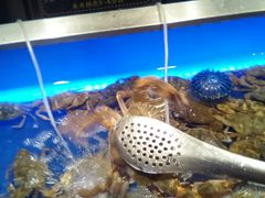 -SEA西雅图海鲜自助餐厅(正义店)