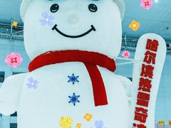 -哈尔滨热雪奇迹