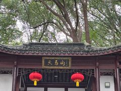 -上海佘山国家森林公园天马山园