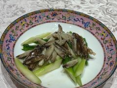-新光酒家·河豚·海鲜·蟹料理(浦东店)