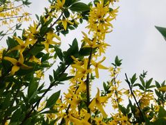 -汉长安城未央宫国家考古遗址公园