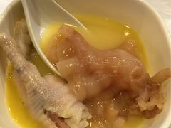 -鲜入围煮花胶鸡海鲜火锅