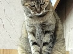 -协和菜馆(凤凰街店)