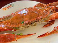 -贵族世家牛排(晋江万达店)