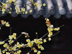 -钱王祠