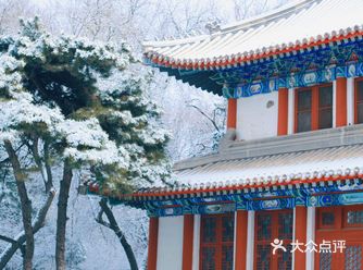 在园子里的第四年即将过去