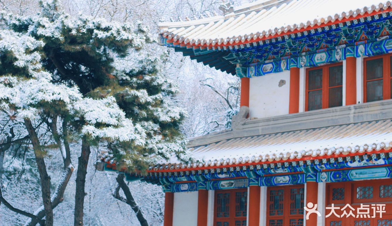 燕园初雪，还有你。