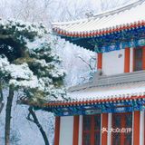 燕园初雪，还有你。