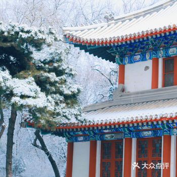 在园子里的第四年即将过去