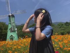 -田野绿世界