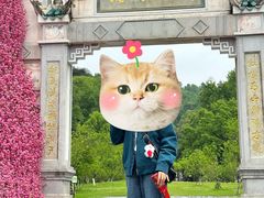 -常德桃花源景区