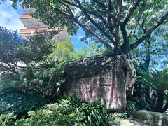 -鹅岭公园瞰胜楼