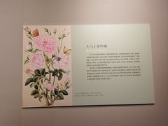 -河北博物院