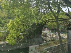 -鹿亭中村