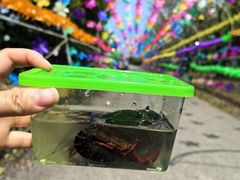 -上海杨姆庄园