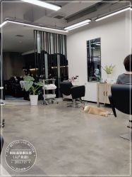 -蚂蚁造型俱乐部