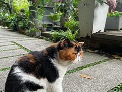 -谷咖啡·鲜花绿植花园餐厅