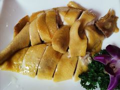 白切刦鸡-百合海鲜酒楼(白云东平店)