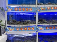 -黄记大闸蟹专卖店·活蟹·醉蟹