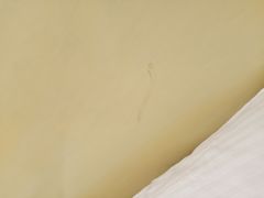 -豪都大酒店(广西南路41号店)