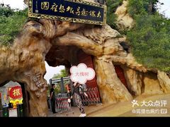 -大槐树寻根祭祖园