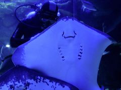-欢乐海岸海洋奇梦馆