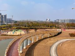 -春花秋色城市公园