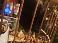 -盘锦生态酒店-火锅餐厅