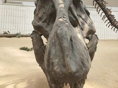 -天津自然博物馆