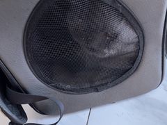 -艾吉宠物医院·疑难杂症转诊中心·猫友好(碧江路院)
