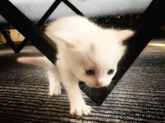 -五月木作·DIY木作文创体验店(北京路店)