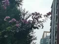 -百荣世贸商城
