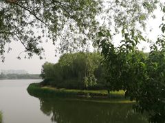 -大兴滨河森林公园