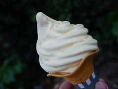 -肯德基(天河店)