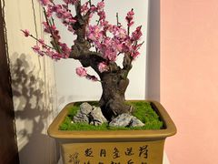 -颐和园