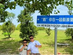 -盐城丹顶鹤湿地生态旅游区
