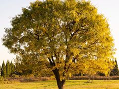 -汉景帝阳陵博物院