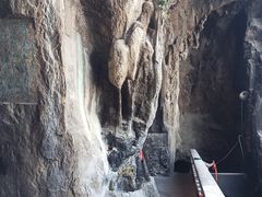 -西华公园