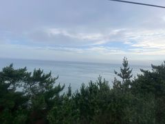 -摩天岭风景区