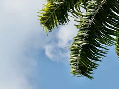 -普吉岛凯悦酒店