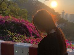 -白云山风景名胜区