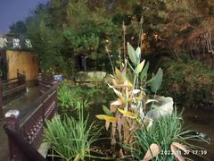 -聚缘堂·海鲜私房菜(松岭路店)