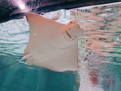 -沈阳海洋探索中心